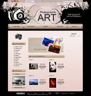 Photographic Art E-Commerce Template